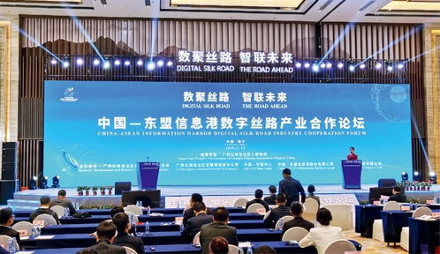 推動 數字絲綢之路 發展 構建全球數字合作新格局