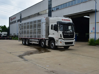 全鋁合金運豬車465馬力畜禽運豬車 助力規(guī)模化養(yǎng)殖的高效選擇